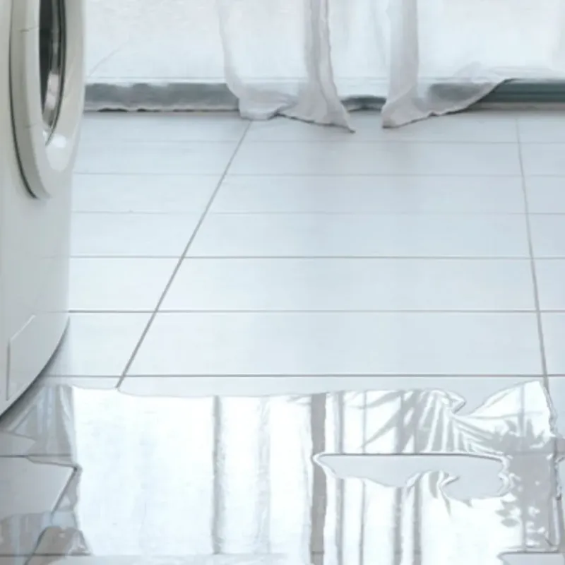 Appliance Leak Cleanup in Madison County, IA