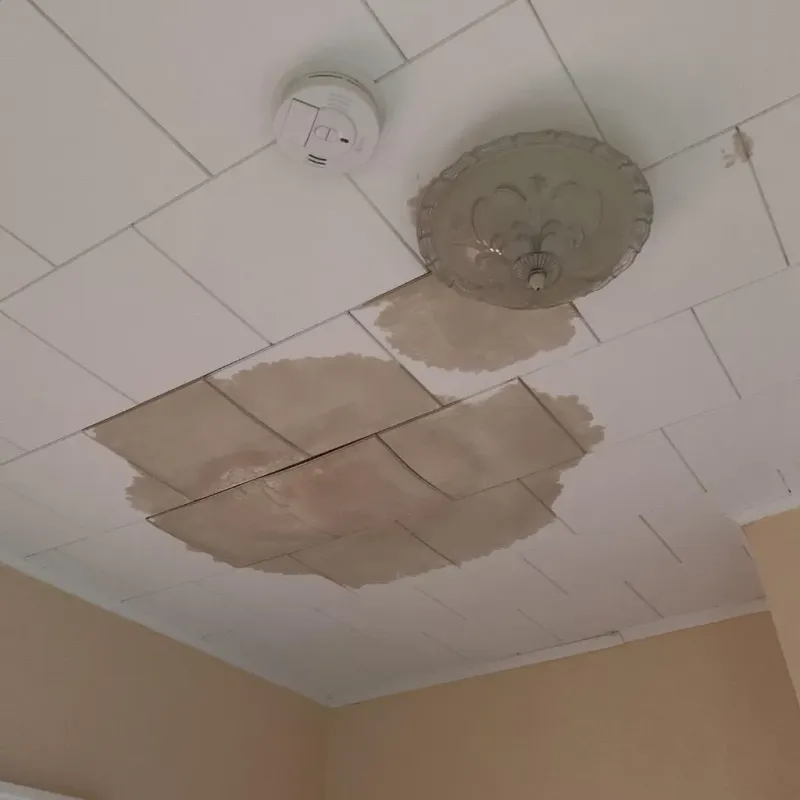 Ceiling Water Damage Repair in Madison County, IA