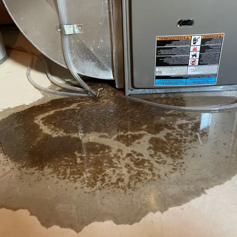 Pipe Burst and Leak Restoration in Madison County, IA