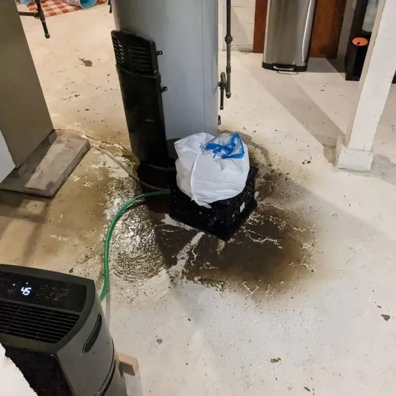 Sewage Backup Cleanup Service in Madison County, IA